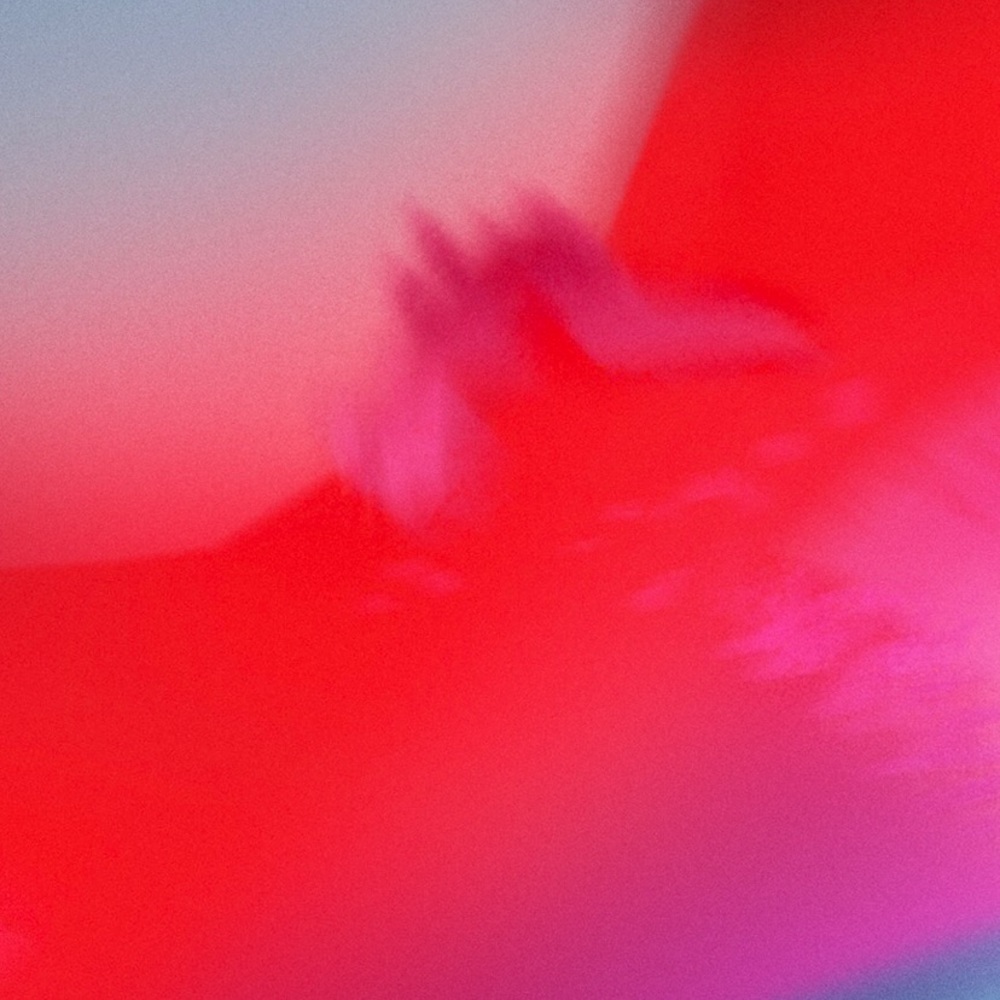 Meet your Posher, Kailey